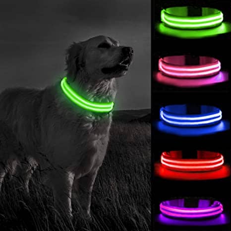Collare per Cane Regolabili 8 Modalità per Cani di Piccola/Media/Grande Plartree Collare Luminoso per Cani LED Ricaricabile USB,Collare Luminoso di Sicurezza per Animale Impermeabile